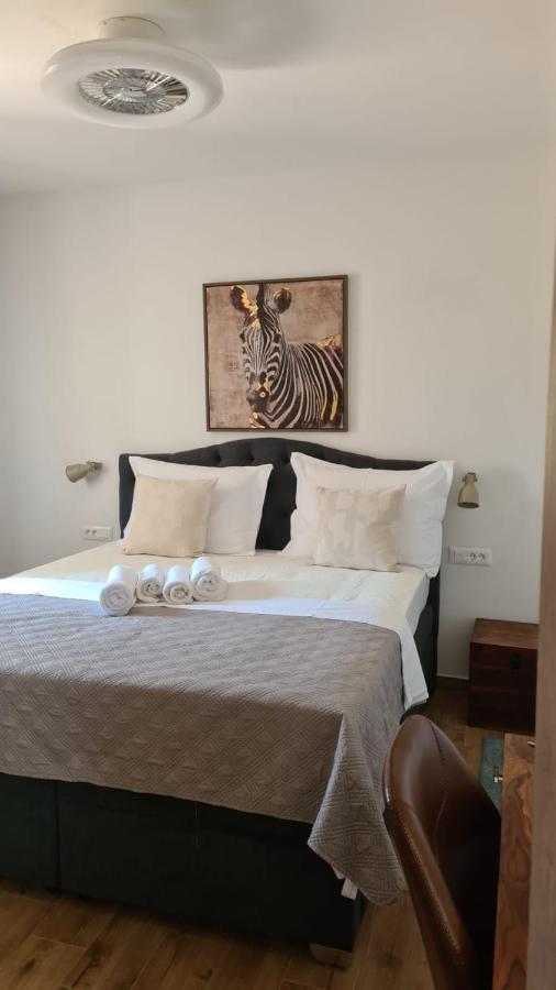 Villa Queen Zadar Exteriér fotografie